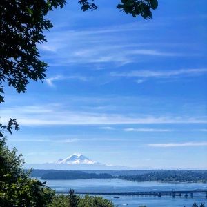 Meet your Posher, Molly